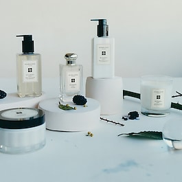 Blackberry & Bay - Cologne
